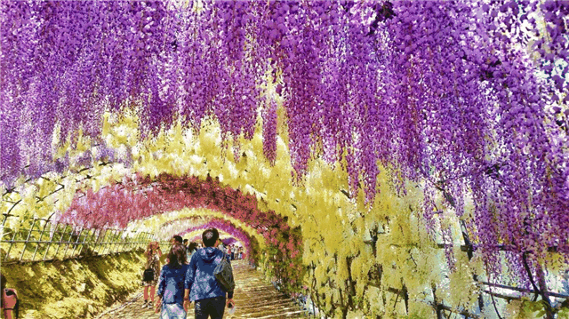 圖片1.png