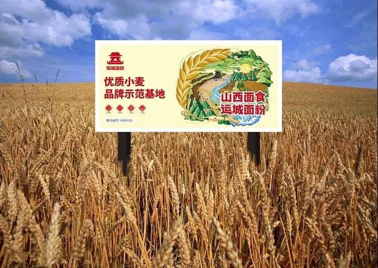 微信圖片_20190812095116.jpg